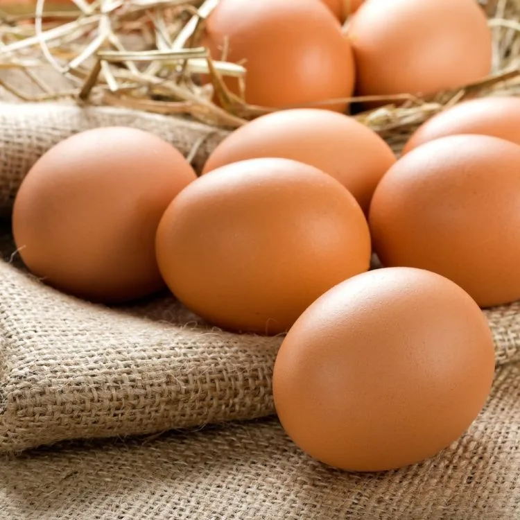 Pasturized Farm Fresh Eggs 12 Counts